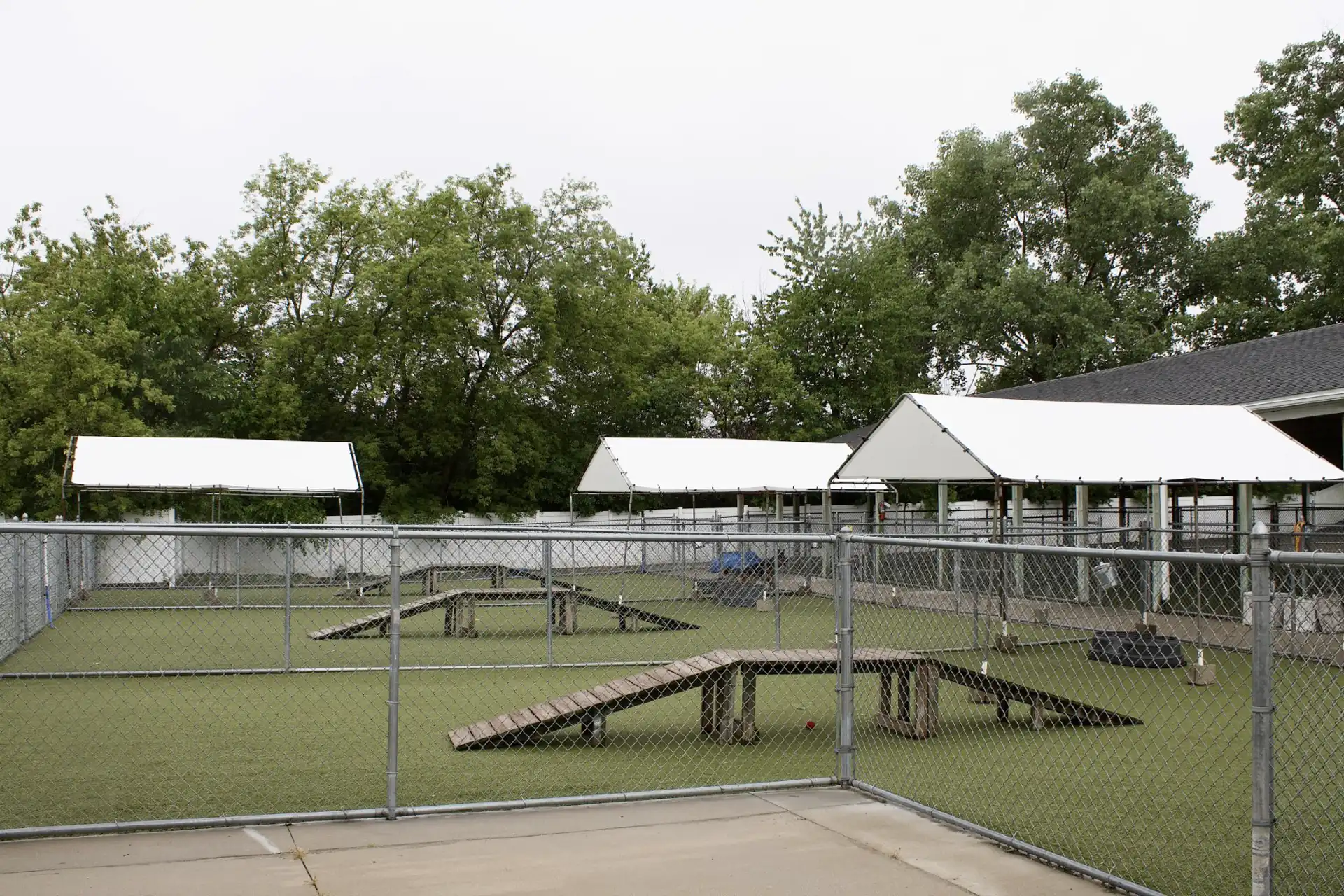 Whiskers Resort & Pet Spa Canine Boarding Grand Rapids, MI